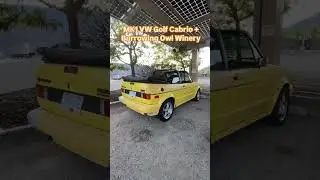VW MK1 Golf Cabrio & Burrowing Owl Winery a Perfect Pairing #winewithryan #vw #burrowingowl #bc