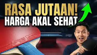 5 Karet Bet Tenis Meja Rasa Jutaan, Harga Masuk Akal! (Rekomendasi 2026)
