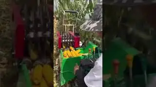 🌽 Amazing Automatic Mini Corn Machine | Smart Farming Innovation 2025 🚜