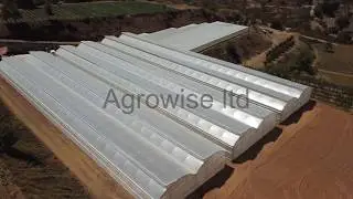 Multi span Greenhouses