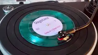 DOGSTAND | Song of a Dead Pest (Cardiacs cover) | Vinyl audio