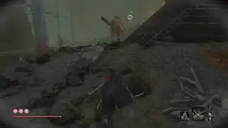 Sekiro: Memes Die Twice