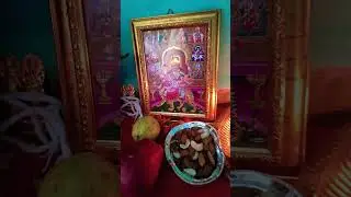 #NAVRATRI 1st Day #ma sailputri puja#