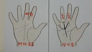 (손금) 제64강 억만장자손금#M자손금#삼기문#부동산 투자운# 재운기회의 시점#