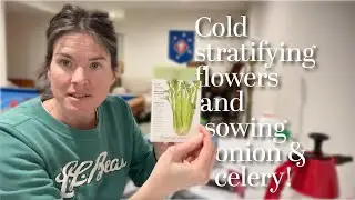 Winter Sowing Onions, Celery and Flowers in January | what seeds are getting started now!