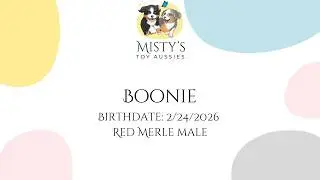 Boonie