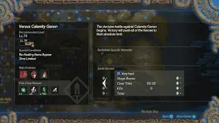 Hyrule Warriors: Age of Calamity - 227 - Post-Game Challenge: Versus Calamity Ganon