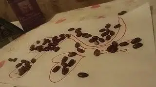 Ловия фоли тел 998508860639