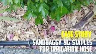 Case Study: Using Sandbaggy 9 Gauge Round Top Staples to Hold Down Irrigation Hose