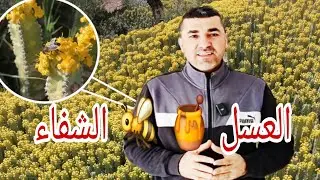 🔴عسل🍯 الزكوم 🐝يحارب جميع الفيروسات الموسمية 