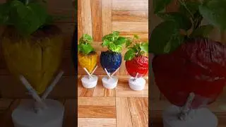 Upcycle a Coconut Shell into a Beautiful Planter with This Easy