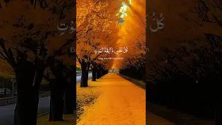 #resiting #quran #daily #holy#resiting of quran#tlawat Quran😭😭😭😭💔💔😭💔💔