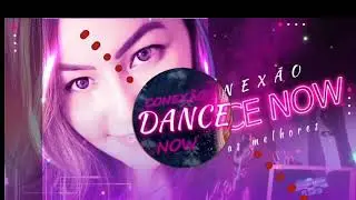 Pink - Try (Dj B@gr&atilde;o Concept Remix)