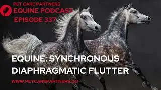 EP 337: Synchronized Diaphragmatic Flutter in Horses | Equine Veterinary Insights