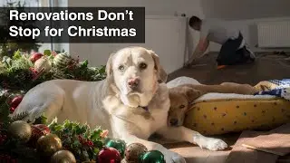 Christmas at Our Scottish Cottage & the Office Upgrade Continues 🎄🛠️ | Ep67