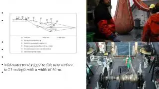 Puget Sound Partnership plans and lessons learned