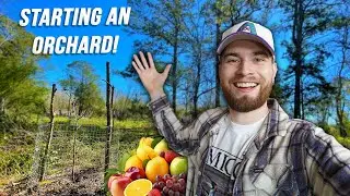 Разбиваю лес на заброшенном участке! Зона 9, Техас