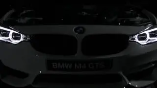 EXCEPTION BY PELRAS #1 : BMW M4 GTS.