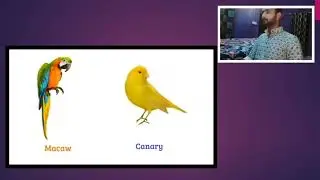 || burds name in English with pictures...💯|| all birds name #youtubevideo #birds #english #viral 