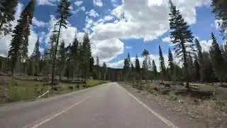JACKSON MEADOWS