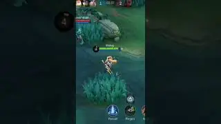 Mobile legends replay 61