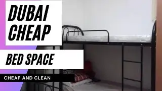 Bed Space Dubai | Dubai Best And Cheap Bed Space | Bed Space Business