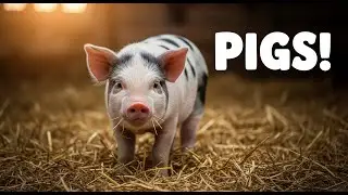 | Life on a Small Farm: Raising Pigs & Chickens in Peaceful Country Living |