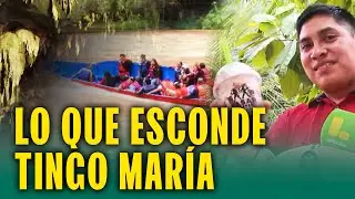 La cueva de las lechuzas: Conoce el lugar más escondido de Tingo María que alerta a los turistas