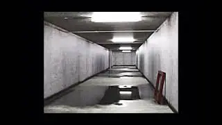 Backrooms level 1 (Found Footage)￼
