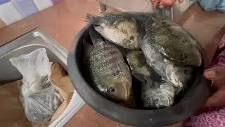 Pearl spot Fish Cleaning/Karimeen cleaning/Tips for Karimeen cleaning#fishcleaning #tips