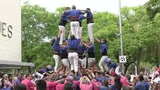 Diada de la Colla