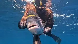 Oratona fulminata! Pescasub Alghero 