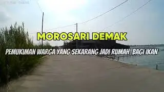 Morosari Demak, pemukiman yang tenggelam jadi tempat wisata dan spot mancing