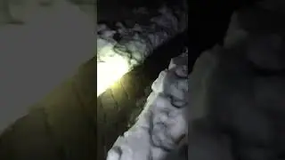Walking down the shovel-width path to the car at the bottom of the driveway - Jan 2016