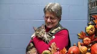 NHSPCA Thanksgiving Greeting