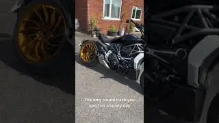 The best summer soundtrack #ziangs #ducati #motorcycle #bikelife #xdiavel #rider