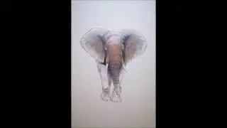 Time Lapse - African Bull Elephant - Pencil Sketch & Oil Painting