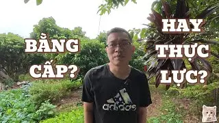 Free Talk: Bằng cấp hay thực lực? | Quang Minh On Cloud