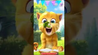 talking ginger gameplay 😂 funny cat video 🐈 #talkingtomversion #cat #talkingtom