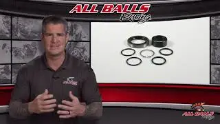 All Balls Racing   Countershaft Bushing and Seal Kits