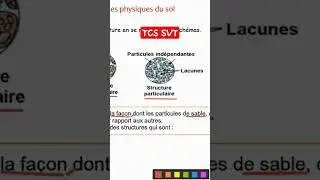 Structure du sol