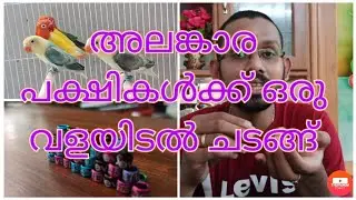 Leg bands in exotic birds | അത് കൊണ്ടുള്ള പ്രയോജനങ്ങൾ എന്തൊക്കെ? | African Lovebirds | Parrots. EP 5