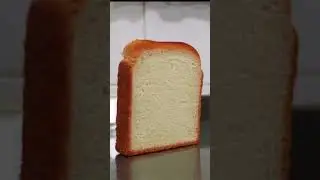 Never give up on Breaddemon #memes #bread