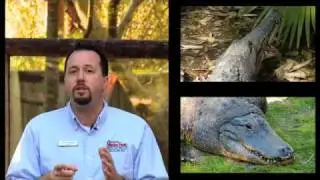 St. Augustine Alligator Farm