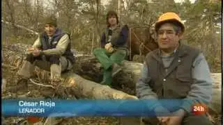 EL BOSQUE HABITADO