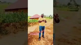 Ibibanza bya makeya byabonetse