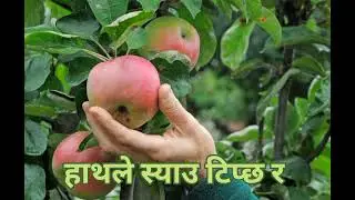 Punishment without gilt। A story of tear।#Shortvideo।। #youtuber।। Bina galti ko sajaya। @rksigdel123