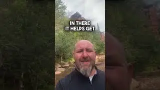 Best Electrolyte Supplements for Hiking  and Hunting