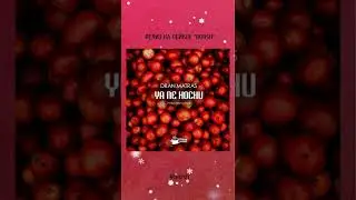 Лейбл БОРЩ #борщ #лейблборщ #музыка #лейбл #попса #borsh #music #label #dranmatras #pop #поп #хит
