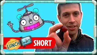 Mixie-Bot Explores a Real Cranberry Farm 🌾 FIZZY'S LUNCH LAB: Harvesting Superfoods